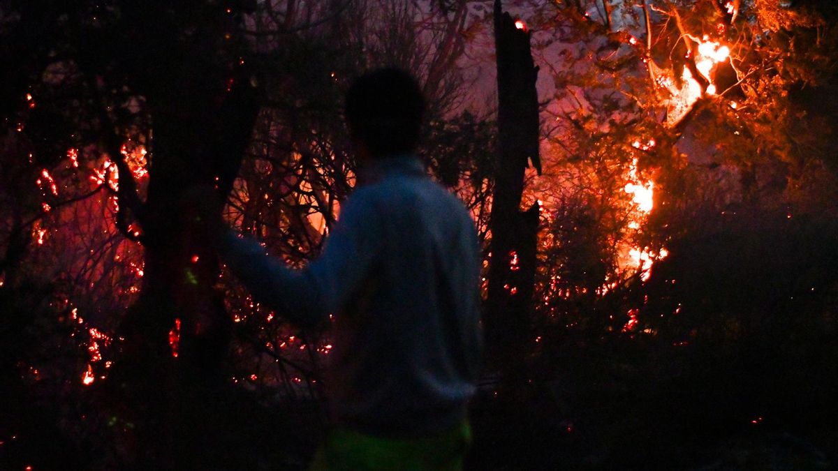 El fuego no da tregua en la Patagonia y los incendios forestales ya arrasaron 45.000 hectáreas