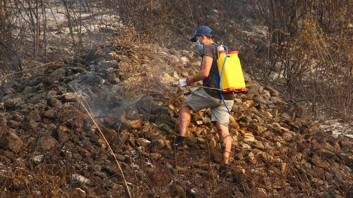 Un informe considera imprescindible “la participación activa de las sociedades locales” para prevenir los incendios forestales