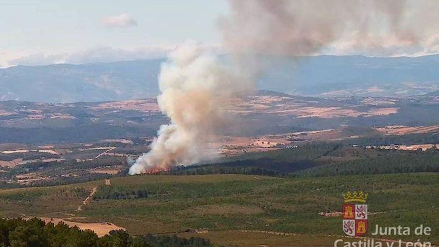 Trabanzos (Zamora) sufre un incendio forestal que se eleva a nivel 2 por superar 30 hectáreas de arbolado y cortar la N-122