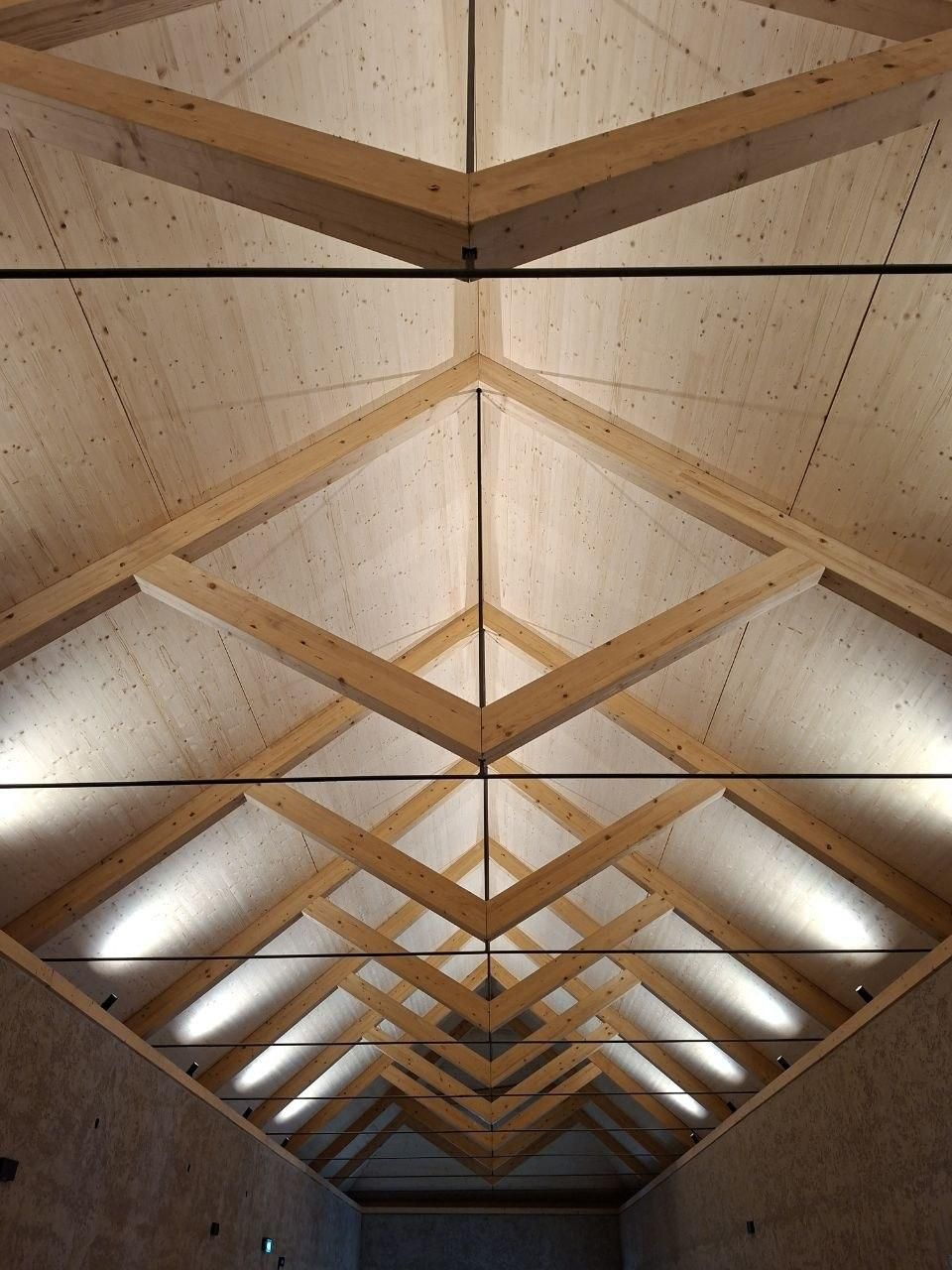 Techo del Museo Vasco, que hace referencia al techo de los antiguos caseríos vascos, a un barco mirado desde abajo y a las traineras, según detalla el arquitecto Antonio Vaíllo
