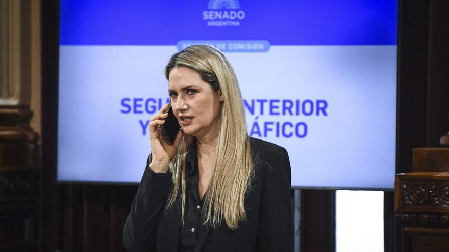 Denuncias falsas por violencia de género y abuso sexual: la avanzada antifeminista que está por aprobarse en el Senado