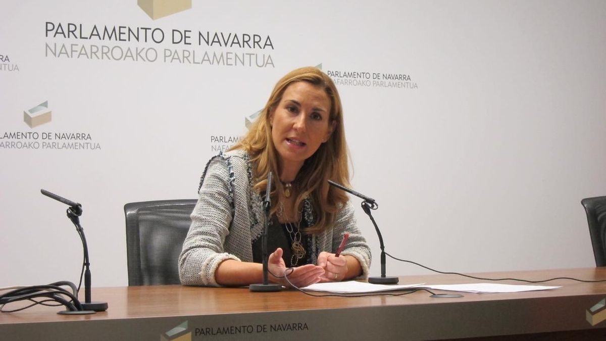 Beltrán (PPN) considera "oportunista" la resolución aprobada en Madrid por PP y UPyD contra el régimen foral