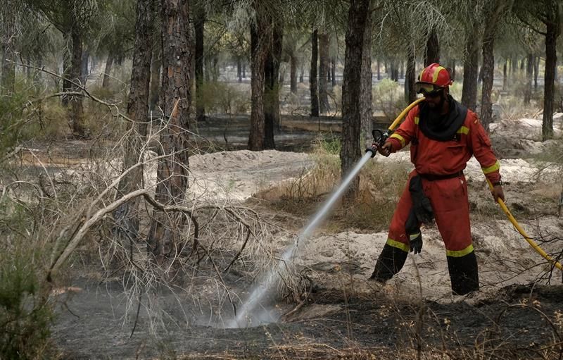 La UME se incorpora a la extinción del incendio de Llutxent (Valencia)