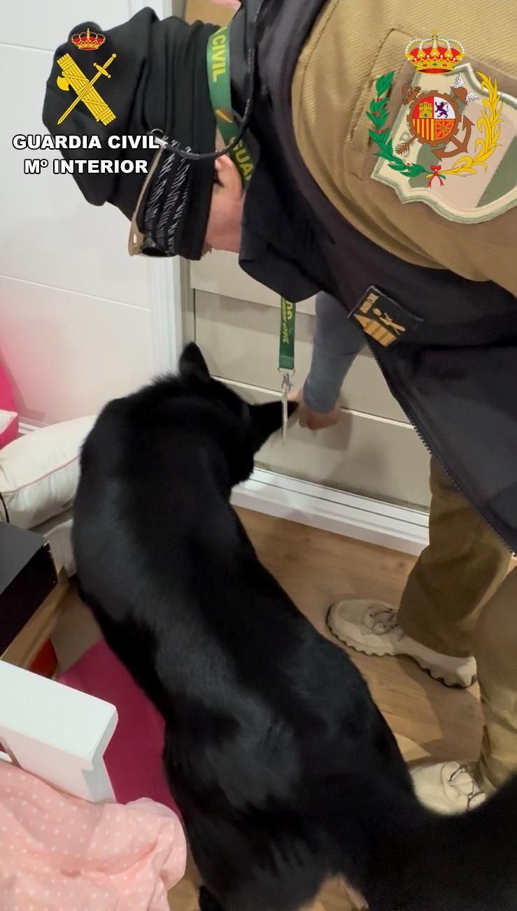 Un agente de la Guardia Civil, junto a uno de los perros que han participado en la operación.