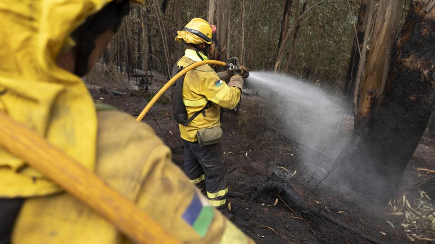 The Government of the Canary Islands commissions a report "urgent" to assess the damage from the fire in Tenerife