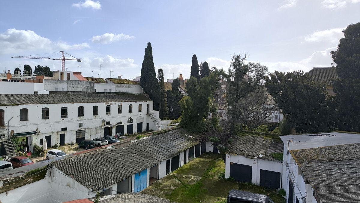 La presión urbanística acecha a los corralones artesanos de Sevilla: ofrecen 12 millones para un hotel y 35 viviendas
