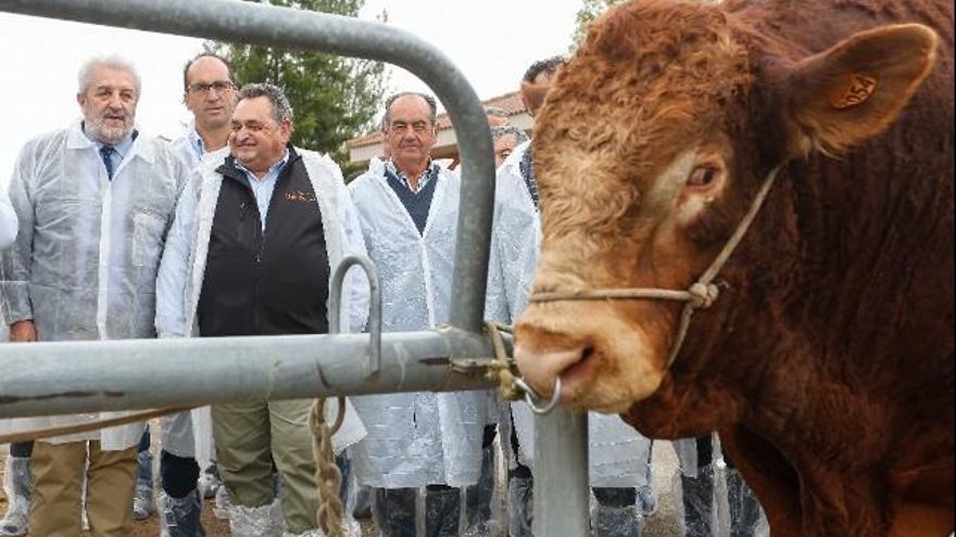 El director general de Producción Agropecuaria, Agustín Álvarez, visita las instalaciones del Centro de Selección y Reproducción Animal (Censyra). / Carlos S. Campillo / ICAL