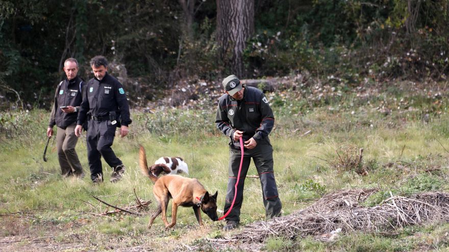 Los jabalíes positivos de peste porcina ascienden a 26, todos dentro del radio del brote
