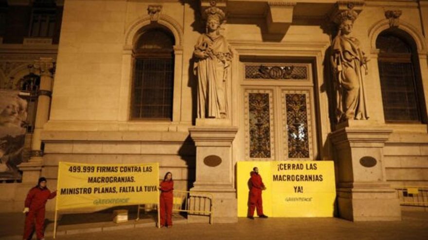Greenpeace bloquea las entradas del Ministerio de Agricultura para pedir el fin de las macrogranjas: "Cerradlas ya"