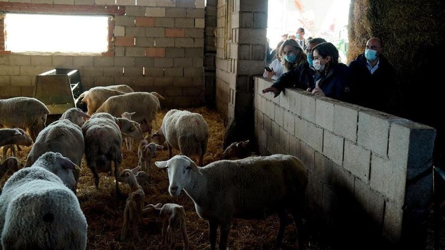 Improvisado frente PSOE-Podemos contra Ayuso en Castilla-La Mancha: "Deje de dar lecciones de ruralidad"