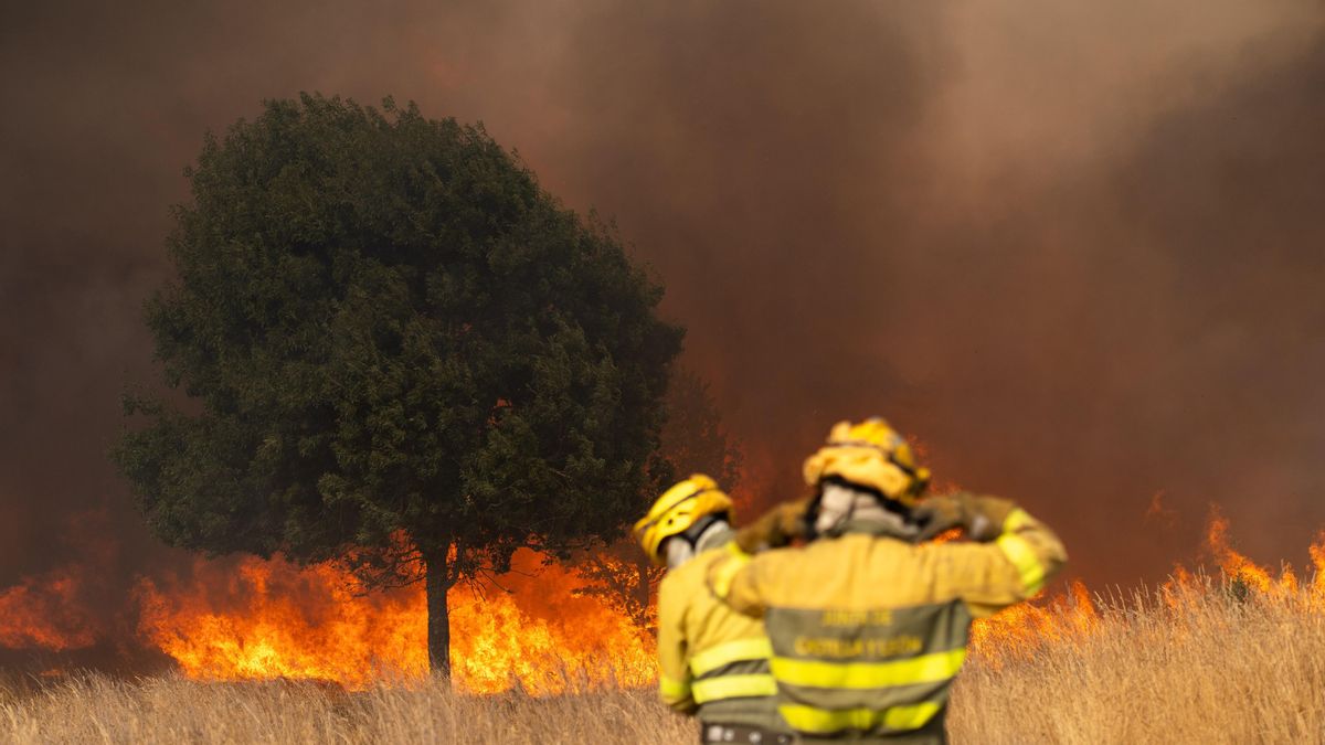 Bomberos trabajan para extinguir el incendio en Molezuelas de la Carballeda, Zamora (España).
