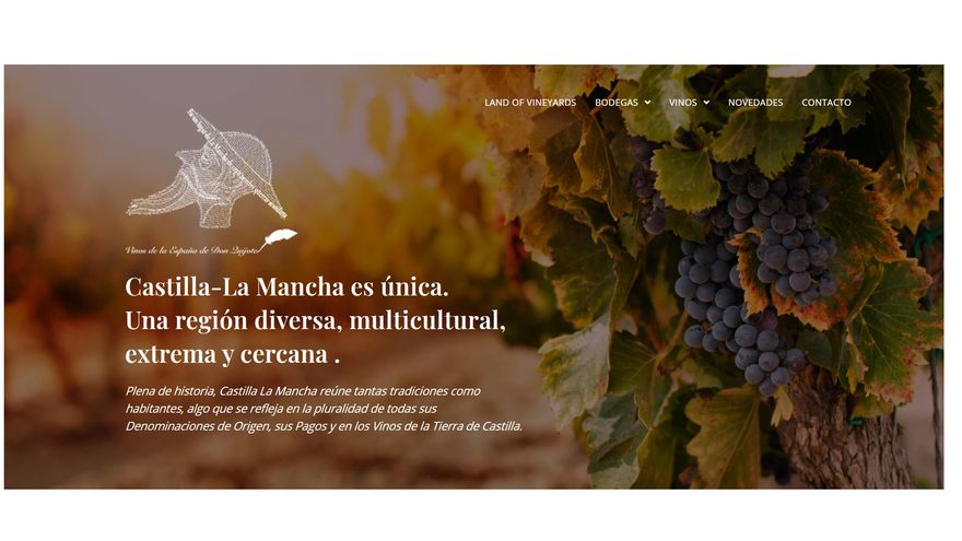 ‘Land of Vineyards’, una plataforma digital para que las bodegas de la región promocionen sus vinos en todo el mundo