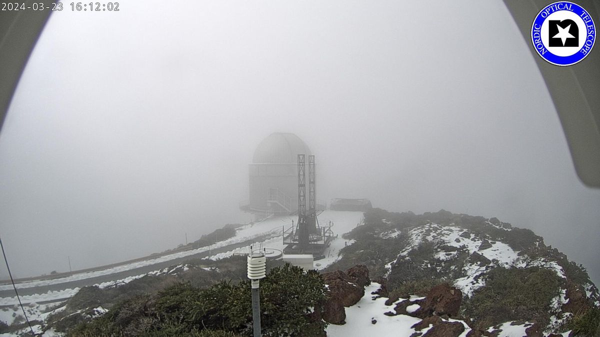 Imagen de las cumbres de La Palma, en el entorno del Roque de Los Muchachos, con nieve y neblina, captada  en la tarde de este  sábado de la webcam del Telescopio Óptico Nórdico (NOT por su siglas en inglés).