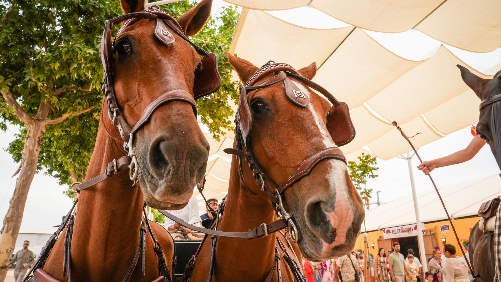 Ambiente del domingo de feria