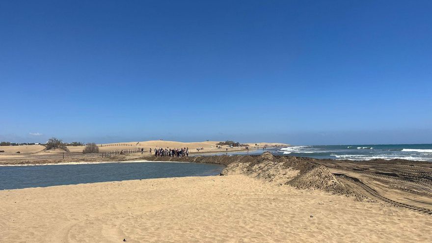 La Charca de Maspalomas se regenera tras la borrasca Therese