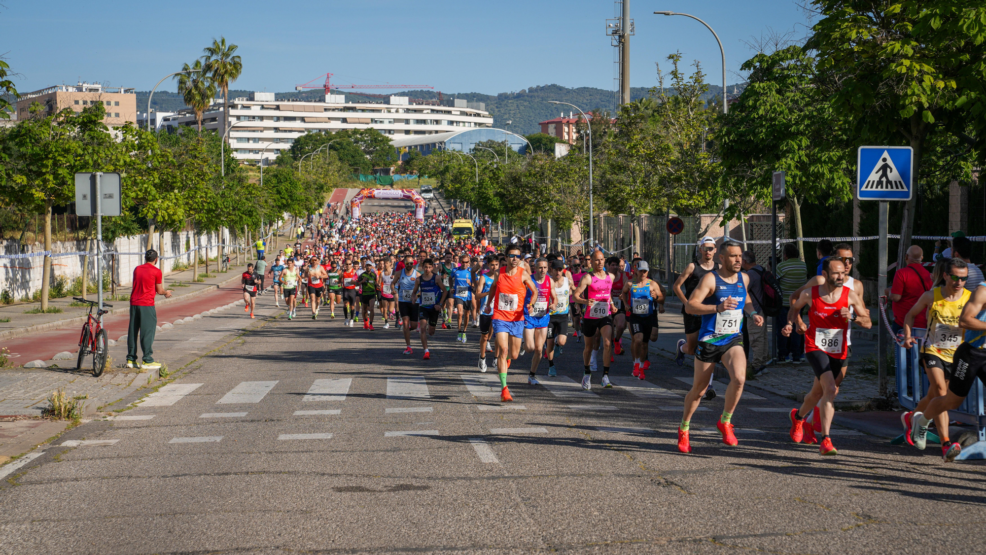 37° CP 10K Los Califas