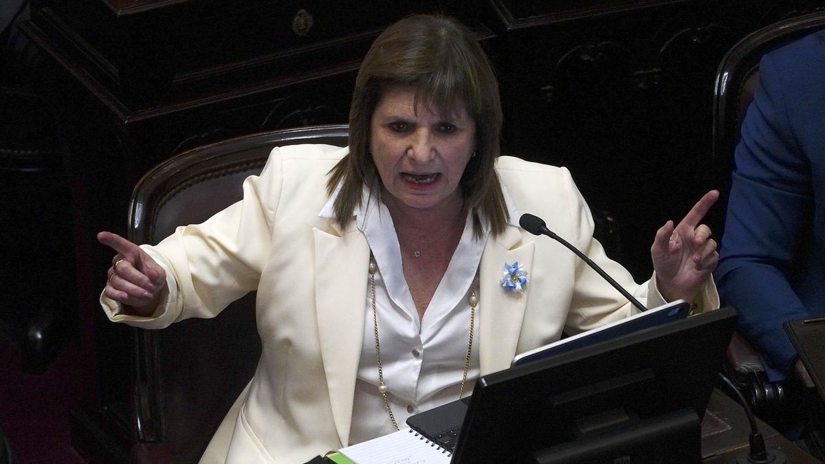 La senadora Patricia Bullrich pidió un minuto de silencio por las víctimas