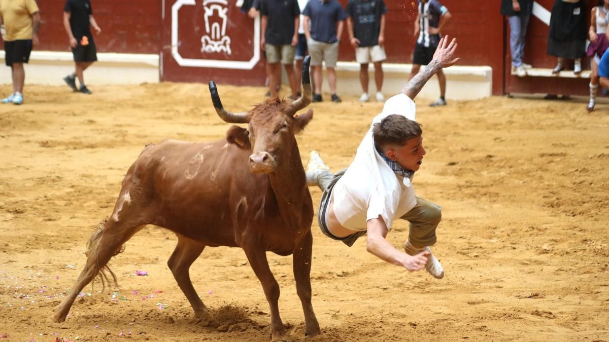 Vitoria acumula ya diez años sin toros fiestas, aunque Euskadi vivirá en 2026 el primer repunte de corridas desde 2012