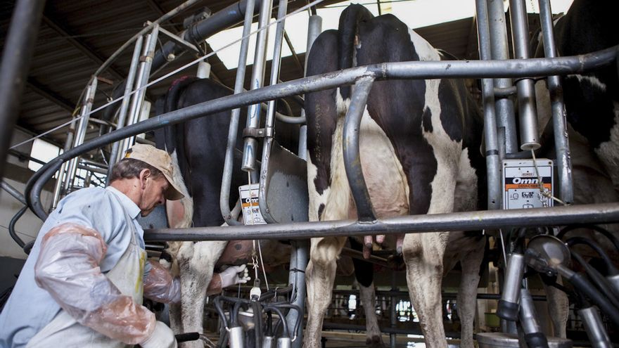 La producción de leche acumuló una caída del 14% interanual en el primer trimestre de 2024 y fue la más baja de los últimos cinco años