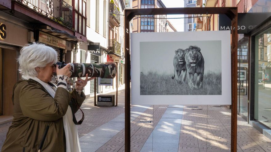 Viajar por el mundo 50.000 kilómetros capturando la vida salvaje en su entorno natural