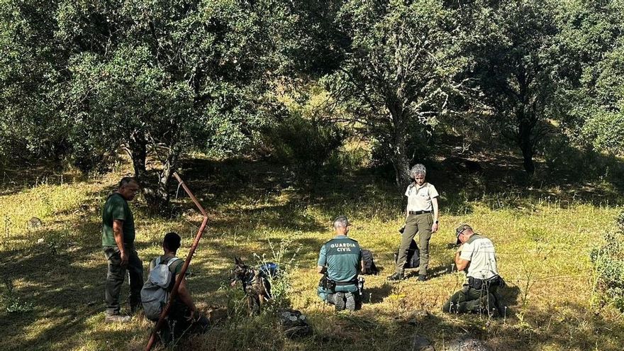 La Guardia Civil investiga a tres personas por introducir cebos y anzuelos en madrigueras de zorro
