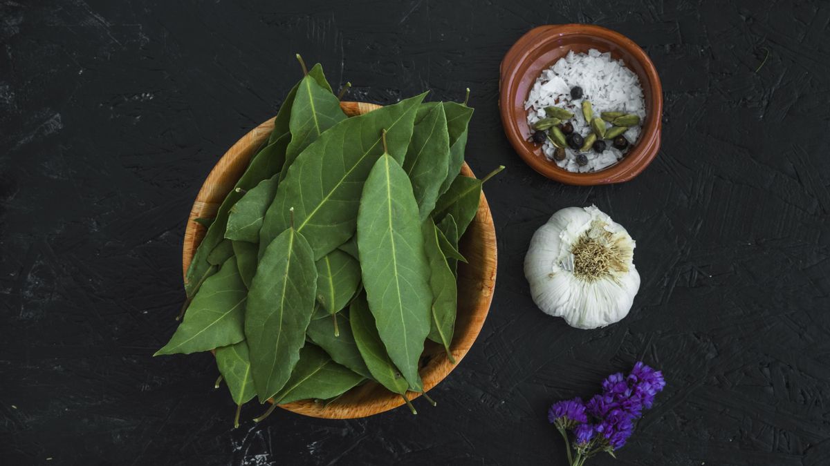 Todos los beneficios del laurel y tres recetas sorprendentes en las que es un ingrediente clave