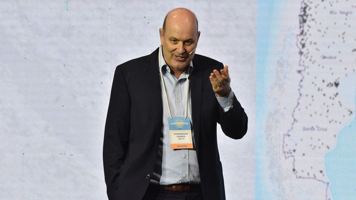 Sturzenegger expuso en el coloquio IDEA en Mar del Plata