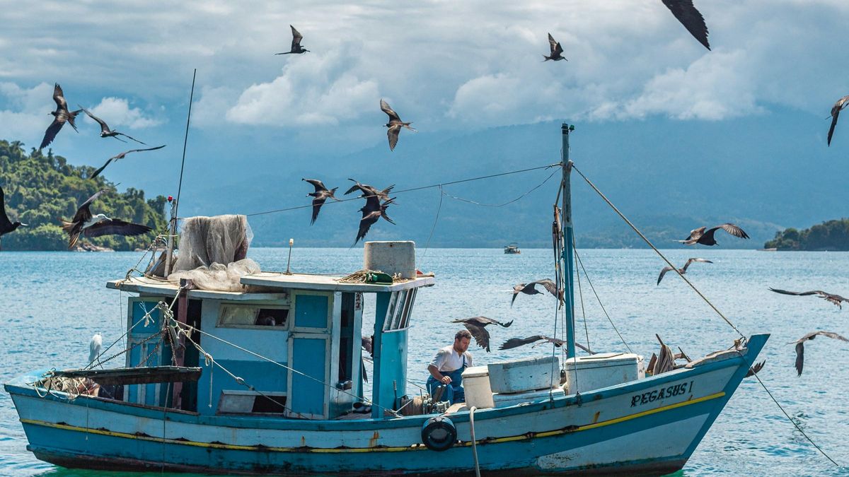 Esta norma no escrita es tan severa que no solo prohíbe llevar a esta criatura a bordo, ya sea viva o cocinada, sino que veta tajantemente la sola mención de su nombre