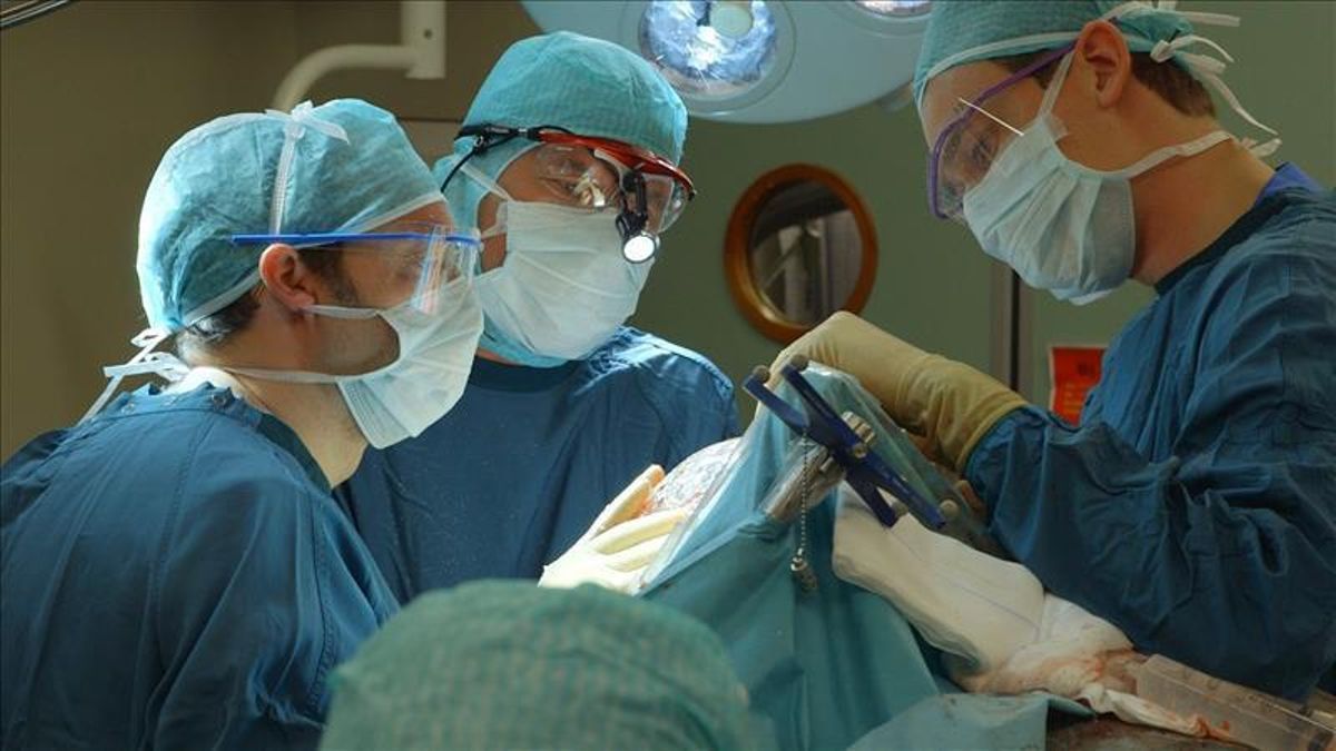 La OMC quiere que los médicos revaliden su capacidad para ejercer cada 6 años