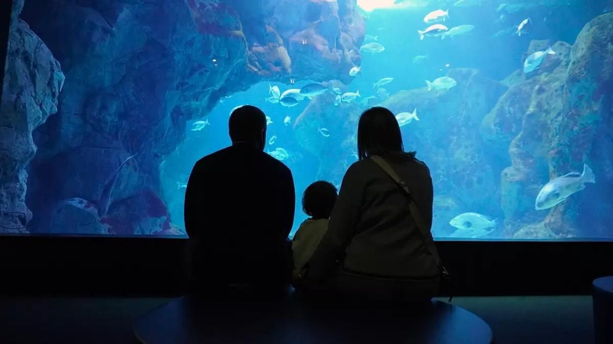 Bioparc llama a combatir la indiferencia para proteger a los animales en peligro de extinción