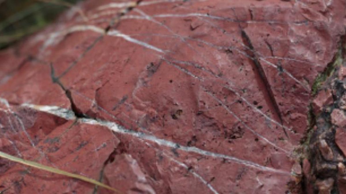 Detalle de afloramiento de jaspe rojo con vetas de cuarzo blanco