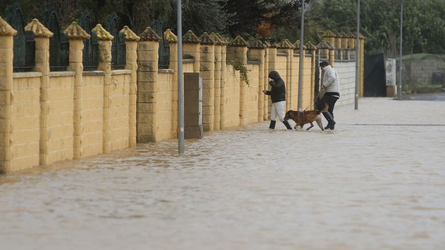 La urbanización Las Cigüeñas, inundada: “Como siga creciendo el Guadalquivir, va a hacer un destrozo”