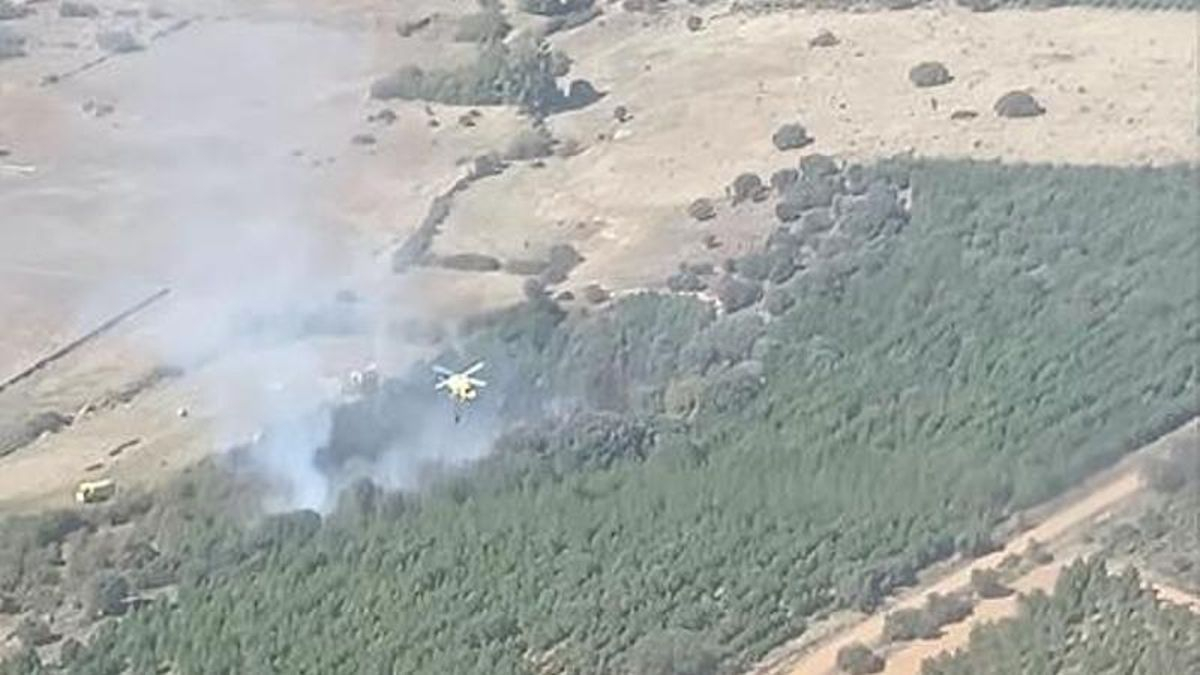 Un incendio originado en Valdespino de Somoza moviliza a medios aéreos y terrestres