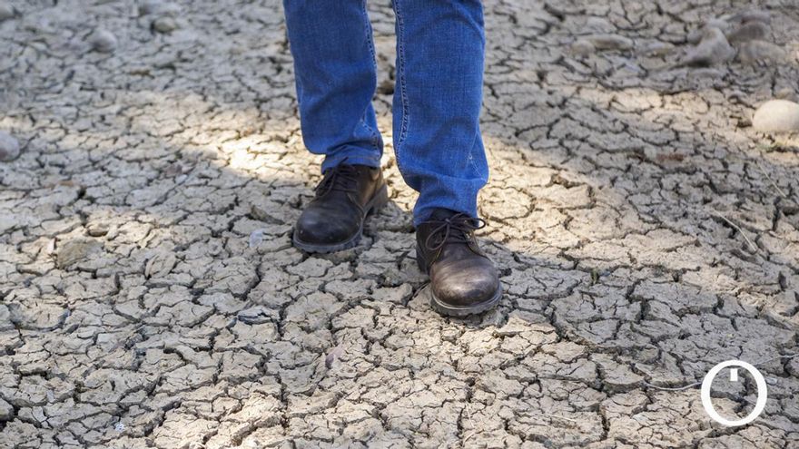 Las guerras por el agua en Fuente Palmera: “Aquí se van a arruinar 200 familias”
