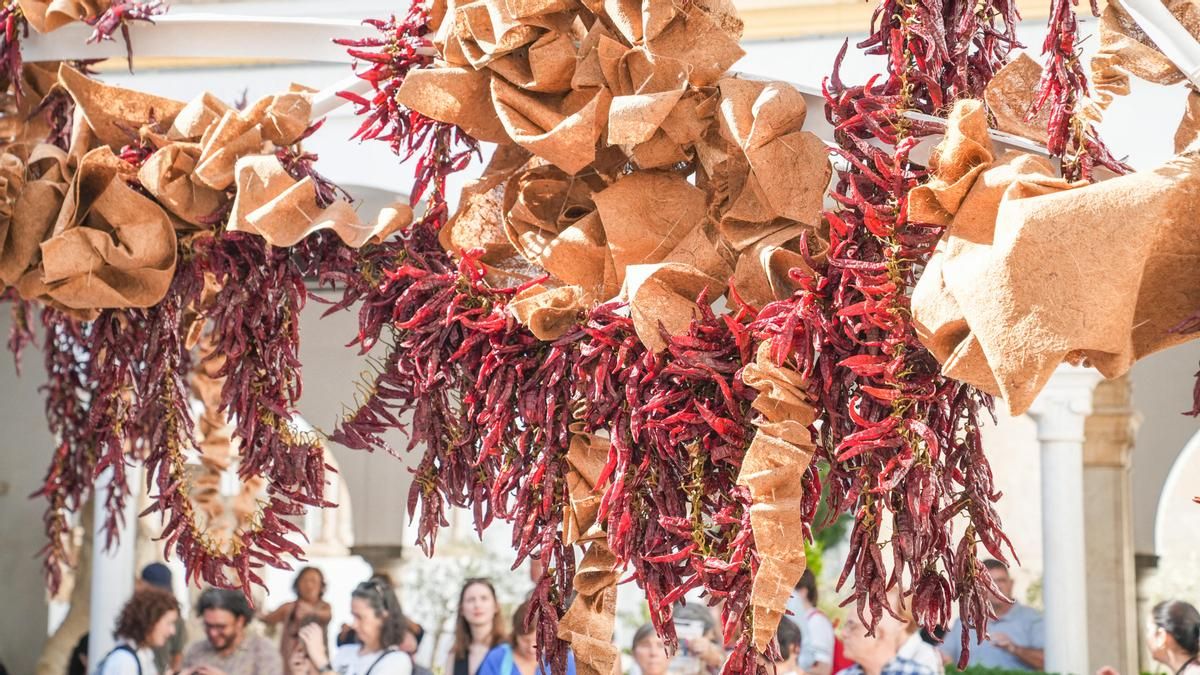 La instalación en Flora de Taller Banegas, en imágenes