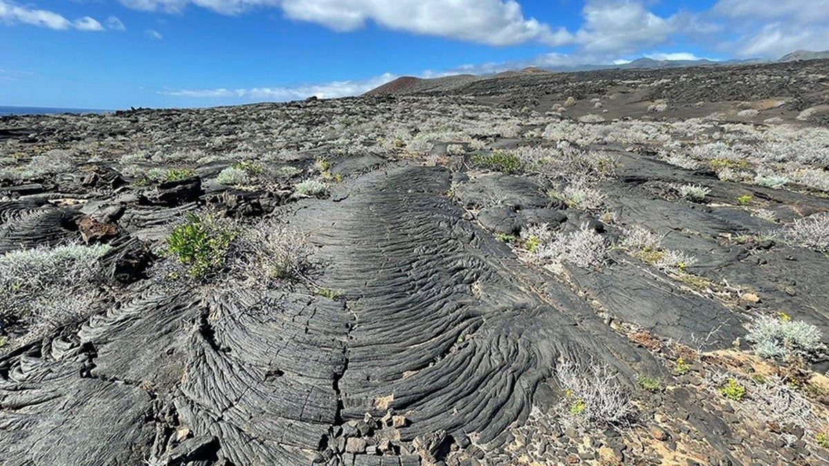 Un nuevo estudio identifica más de 40 erupciones volcánicas en El Hierro durante el Holoceno
- GEO3BCN - CSIC.