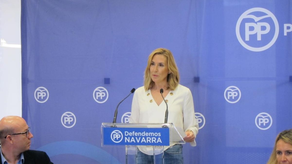 Beltrán (PPN) dice que el Día de Navarra "debería unir a todos los navarros, más allá de ideologías"