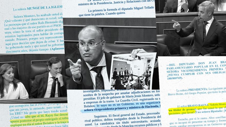 Portrait of a Parliament with lies in the background