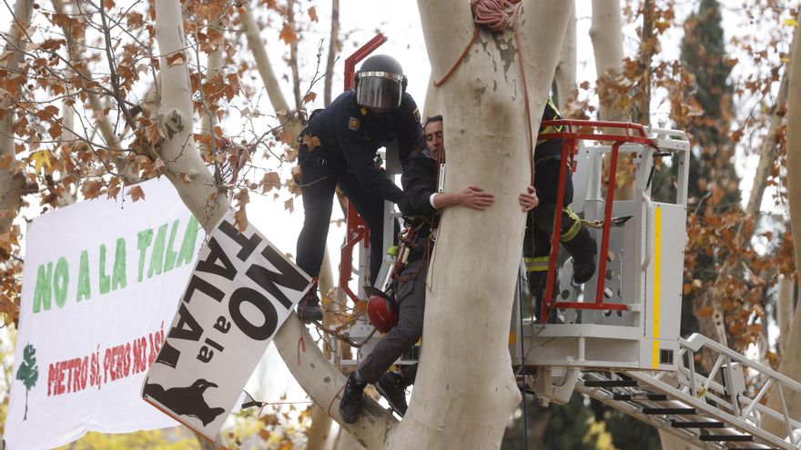 Teresa Ribera quiere poner orden en las talas de árboles de las ciudades