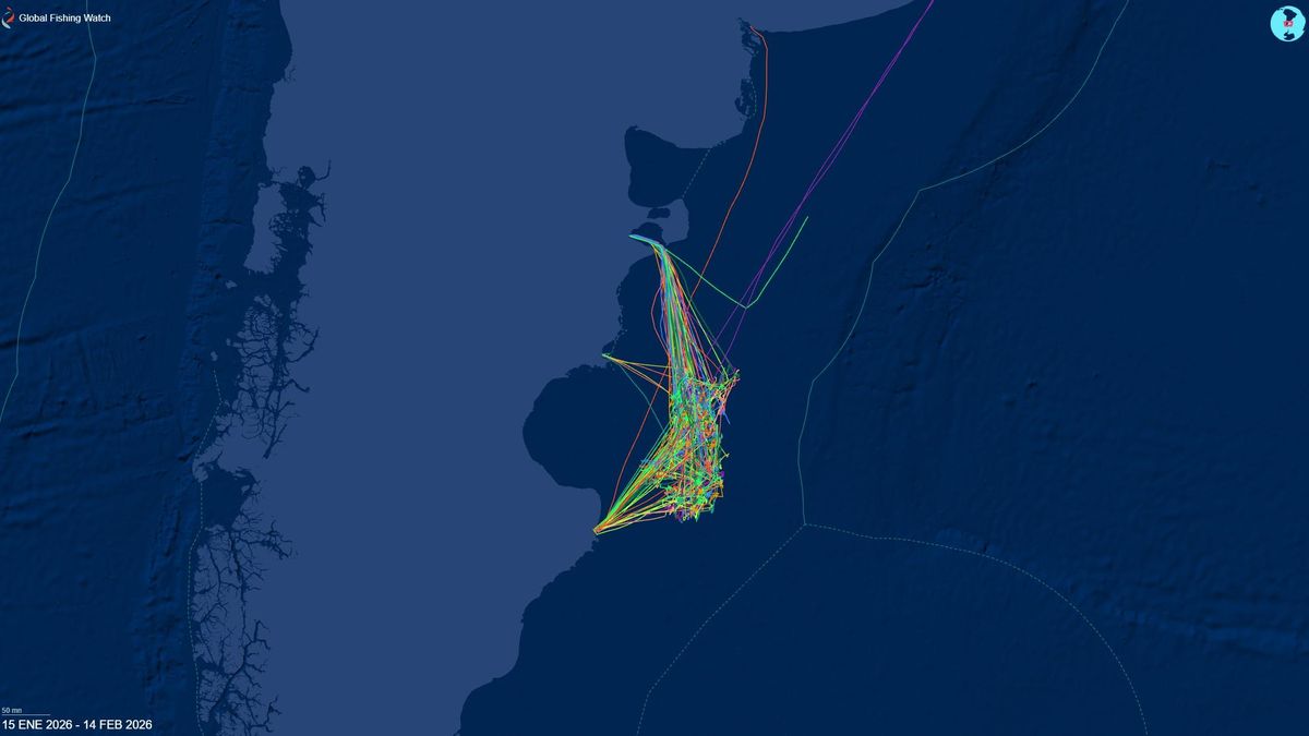 Busques de bandera argentina, perteneciente a empresas con capitales chinos, operando dentro de la zona económica exclusiva.: