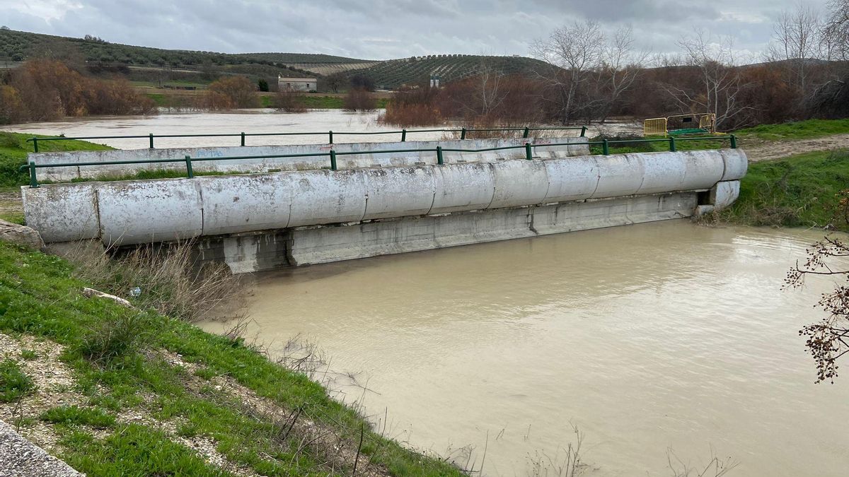 El Guadajoz subiendo por el arroyo Cantarranas en Castro del Río y amenazando a las viviendas.