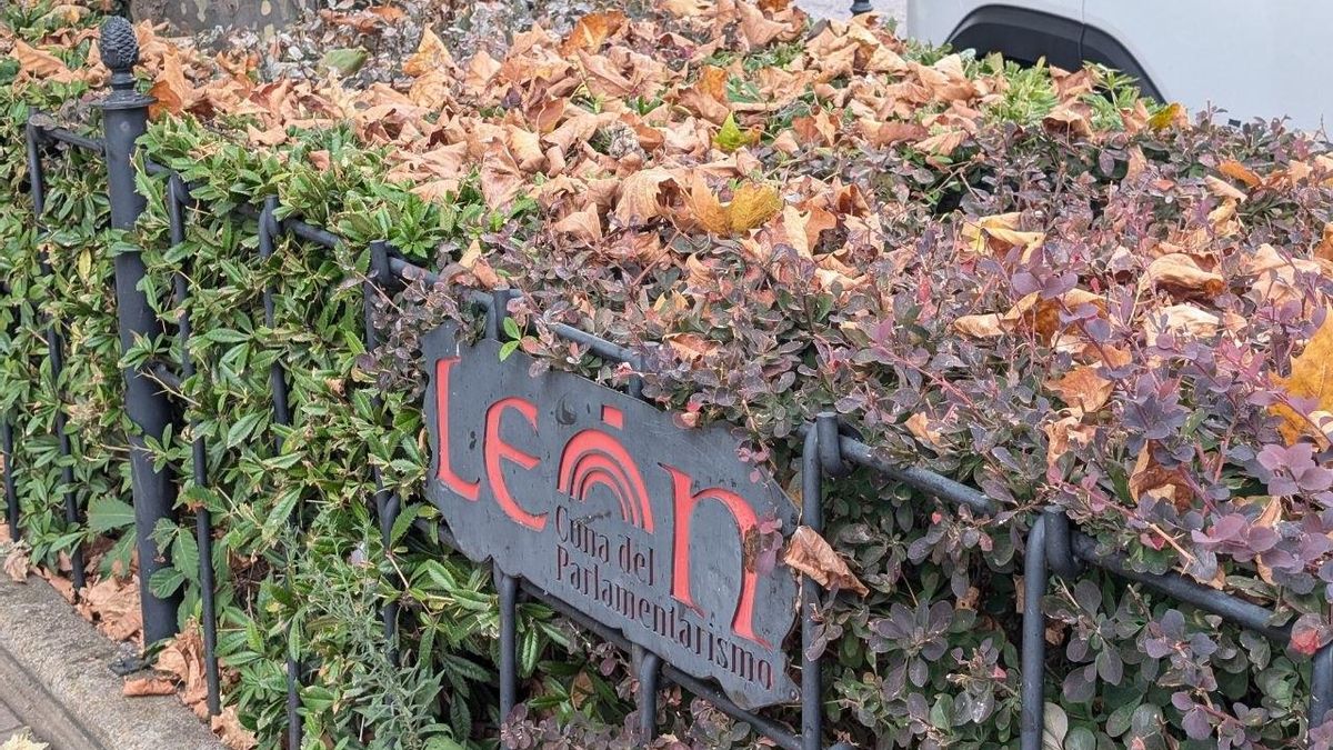 Adiós a las lluvias en León: llega el frío otoñal con noches de heladas y máximas de 20 grados el fin de semana