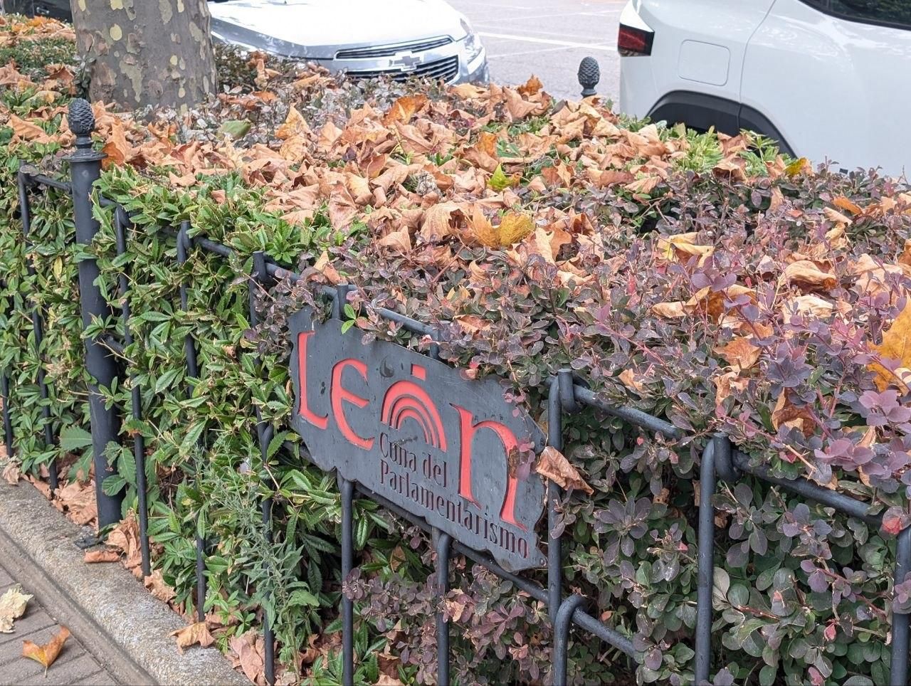 El llamativo otoño en pleno verano que se el clima acelera en el paisaje urbano de León