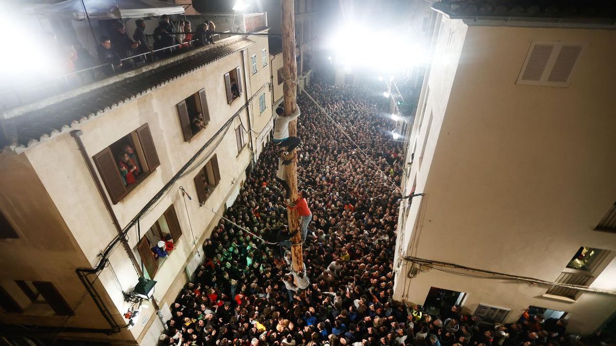El pino de un pueblo de Mallorca que espera a que una mujer lo trepe por primera vez