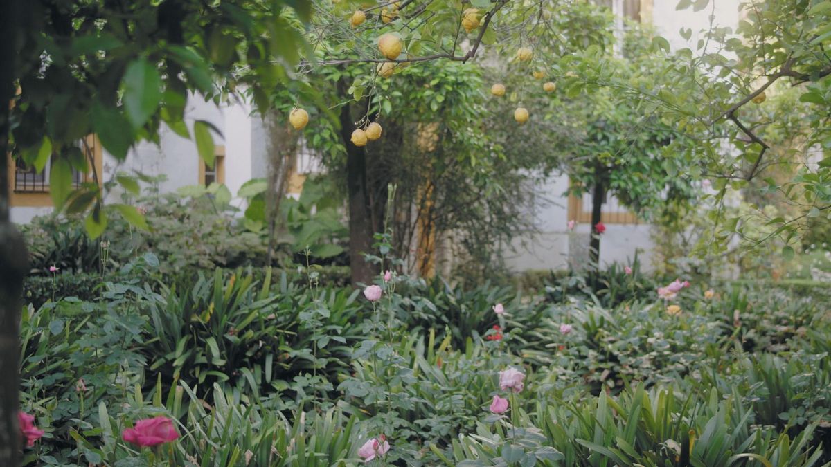 'Los días azules', documental sobre Antonio Machado