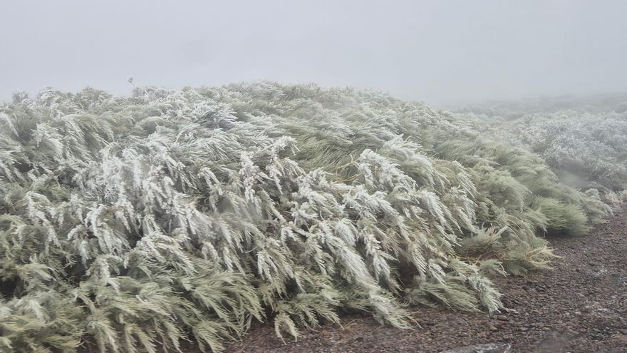 Paisaje invernal protagonizado por las cencelladas  este martes en las cumbres de La Palma.