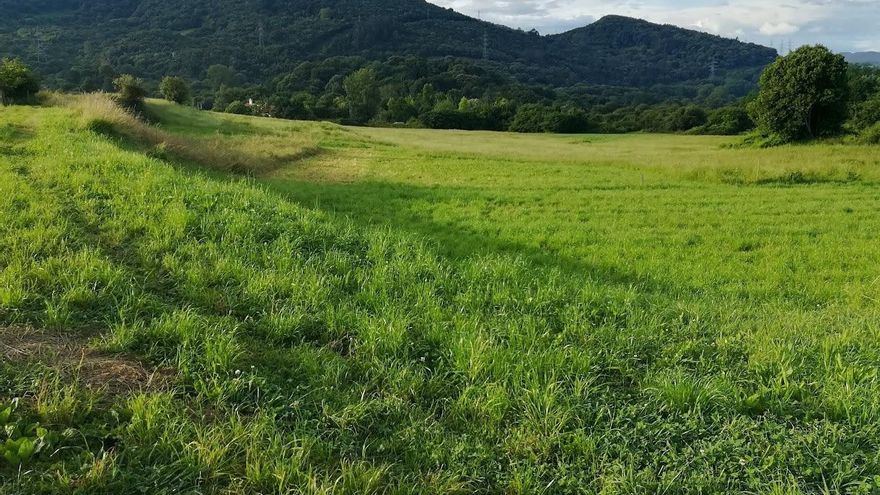 SEO/BirdLife presenta alegaciones al PROT para reforzar la protección del suelo rústico y de la biodiversidad