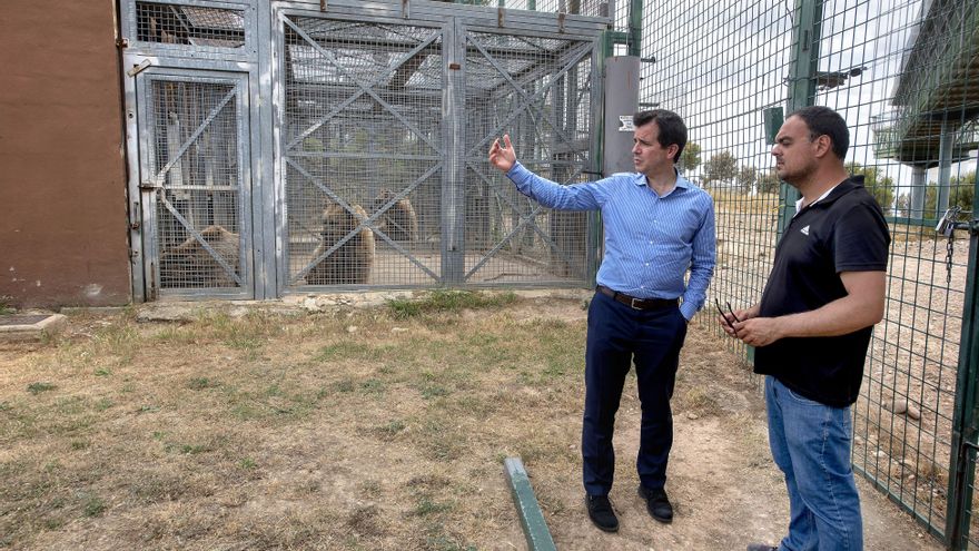 Doce animales murieron en el parque Sendaviva como consecuencia de los incendios