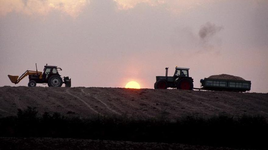 Los nuevos inspectores vascos de los precios de los alimentos podrán precintar instalaciones con autorización judicial