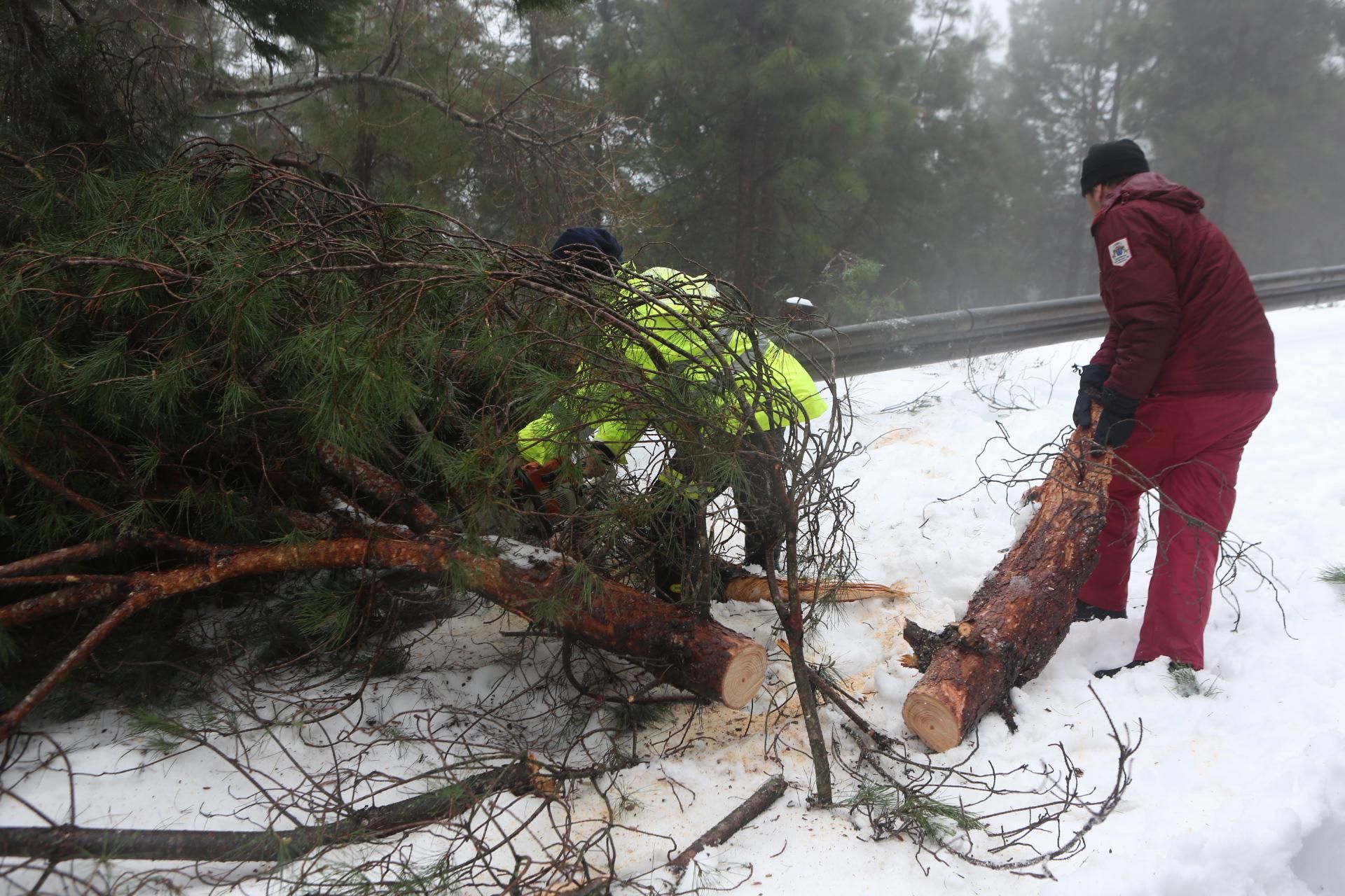 Jornada del sábado, 20 de febrero en la cumbre (Alejandro Ramos).